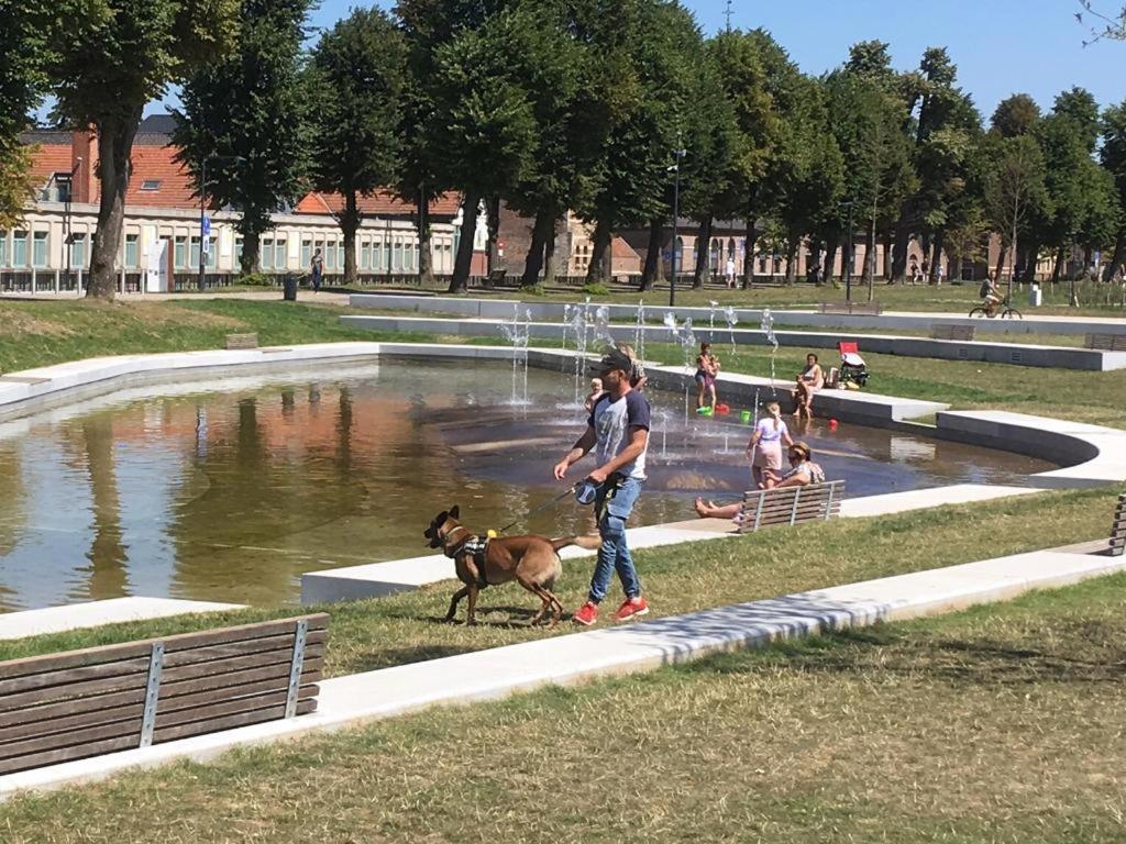 Villa Domus XIX Tongeren Zewnętrze zdjęcie